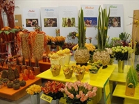 Foto z akce Květinová show 2006